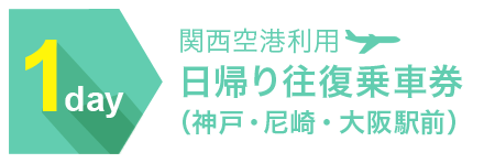 関西空港利用 日帰り往復乗車券